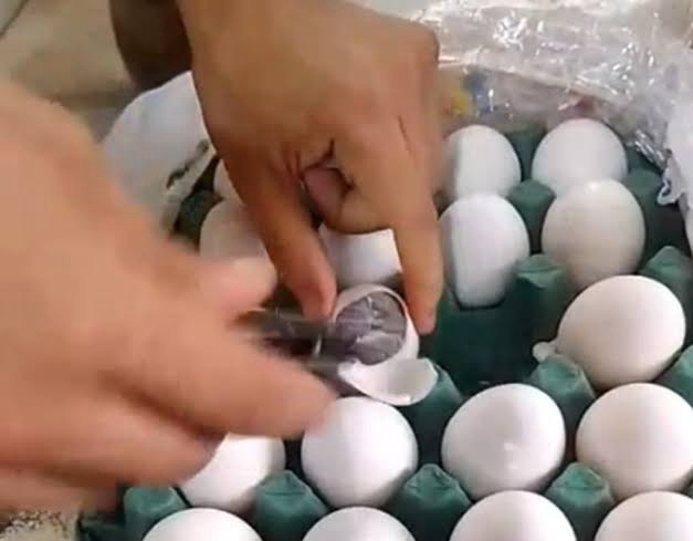 Homem é preso ao entrar com ovos ‘recheados’ de maconha no presídio de Igarassu; VÍDEO