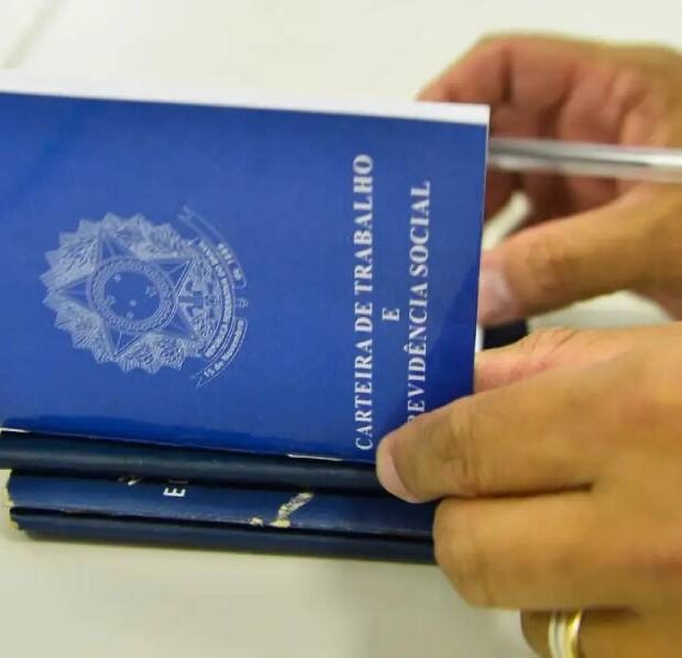 Contrariando ‘rei do ovo’, emprego formal avançou mais entre pobres