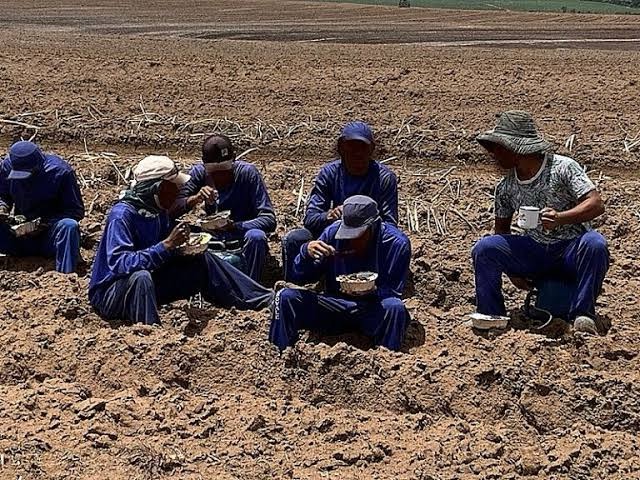 Mais de 500 trabalhadores escravizados são resgatados em obra em MT