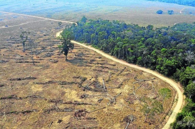 Brasil é responsável por 70% da perda de florestas do planeta, diz ONU