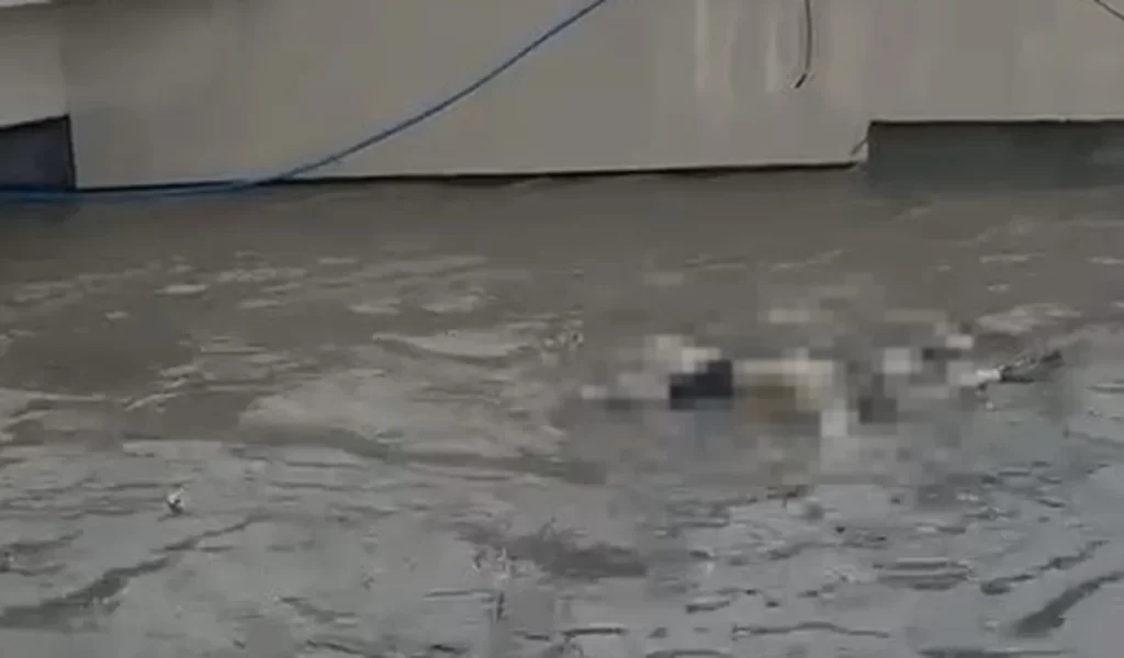 CORPO ARRASTADO PELAS ÁGUAS DO RIACHO SALGADINHO É IDENTIFICADO EM MACEIÓ-AL