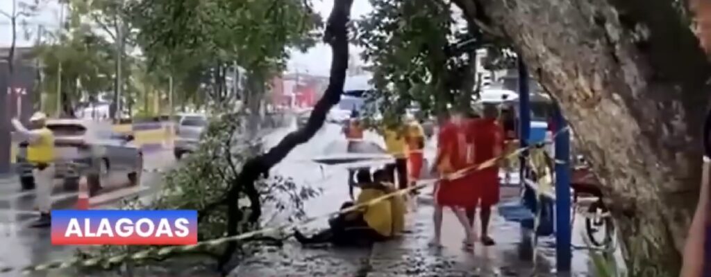 MULHER FICA FERIDA APÓS PARTE DE ÁRVORE CAIR NO BAIRRO PAJUÇARA, EM MACEIÓ