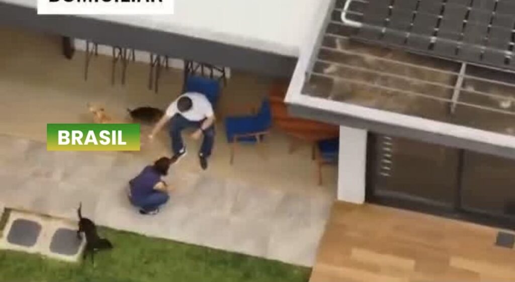 VÍDEO MOSTRA BOLSONARO EM CASA BRINCANDO COM CACHORROS APÓS RECEBER ALTA HOSPITALAR PARA CUMPRIR PRISÃO DOMICILIAR