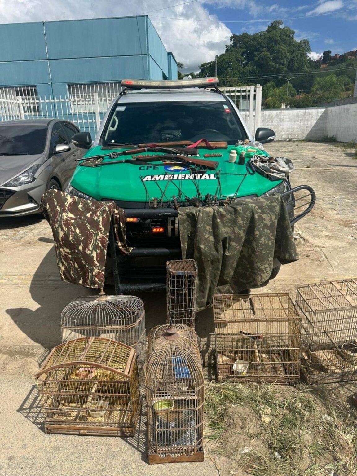 PM apreende armas, materiais de caça e pássaros silvestres em operação no interior