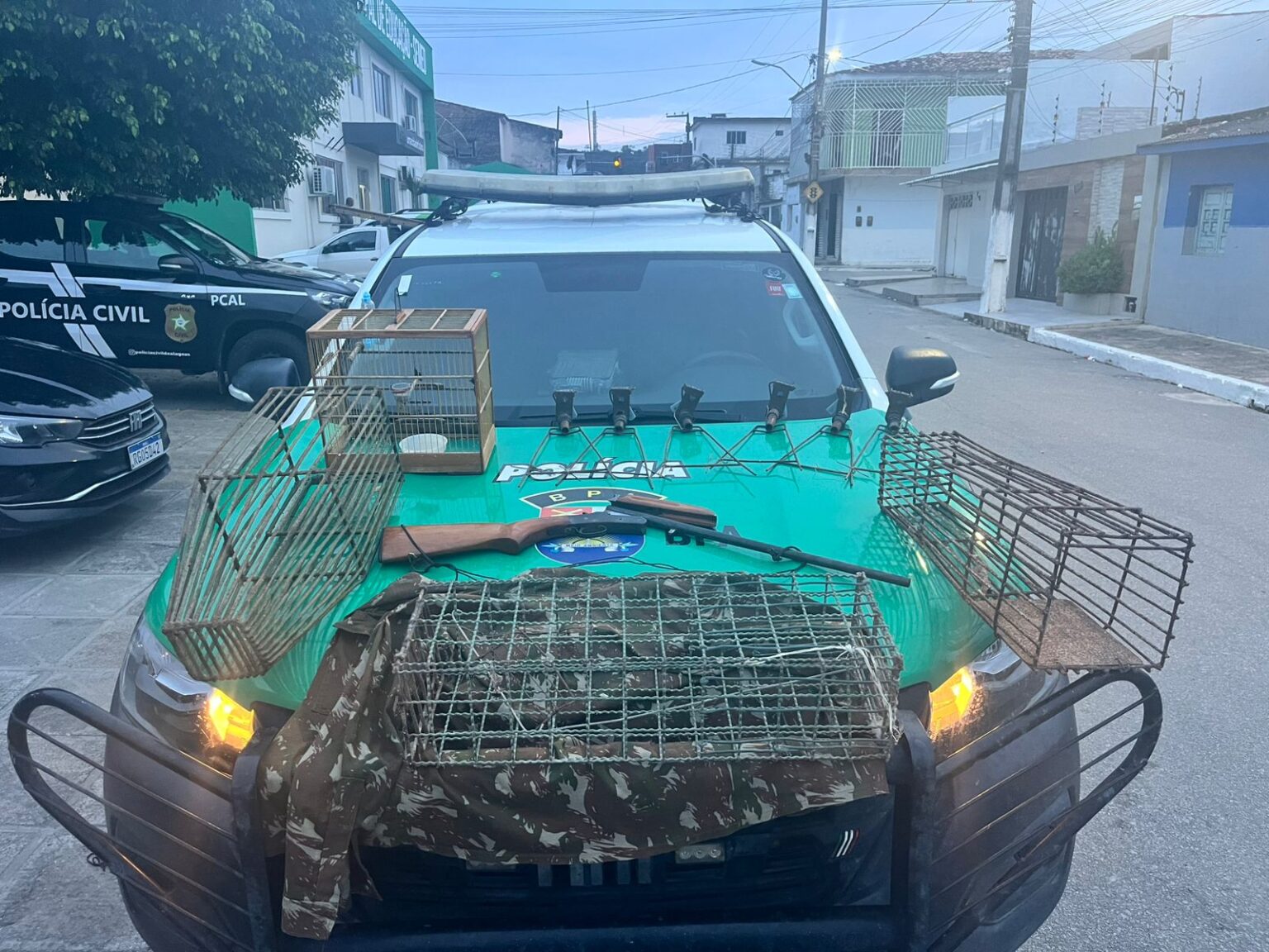 POLÍCIA MILITAR APREENDE ARMA DE FOGO , ANIMAIS SILVESTRES E REALIZA SOLTURA EM ALAGOAS .