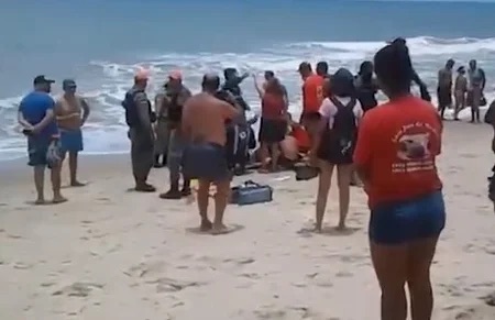 Vítimas de ataques de tubarão em Recife têm membros amputados e continuam hospitalizadas