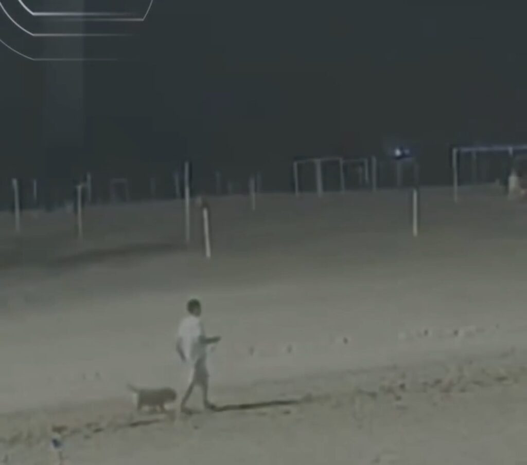 Tutor é acusado de matar cão afogado em Copacabana; câmeras flagram trajeto