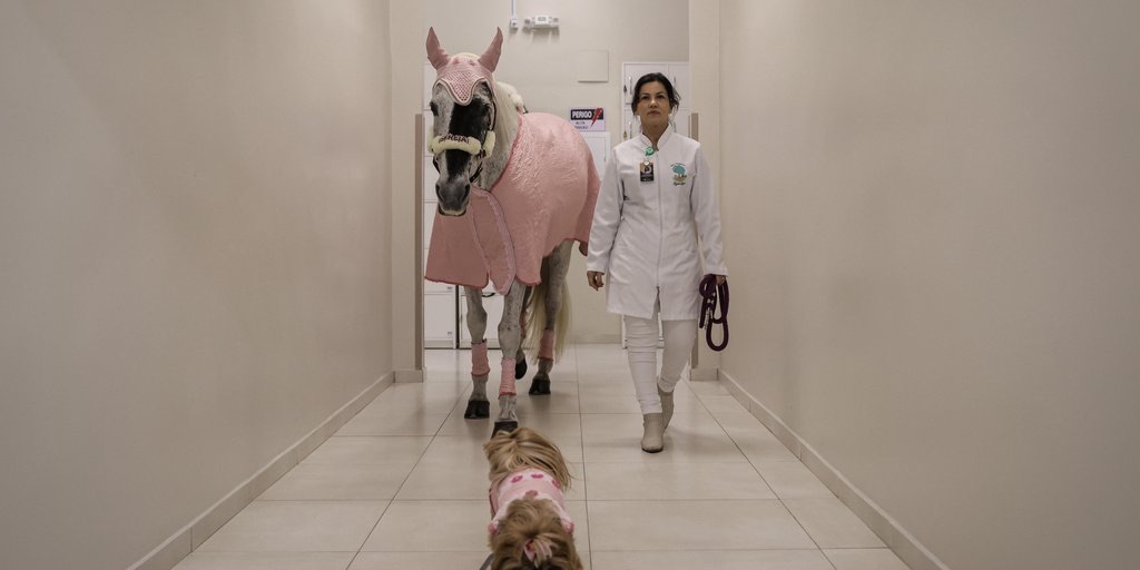 “Nunca pensei em ver uma égua entrando no hospital”: conheça Sereia, sucesso como pet terapeuta em Sapiranga