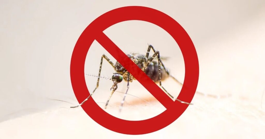 Casos de dengue e chikungunya aumentam mais de 25% em Alagoas e estado registra seis mortes