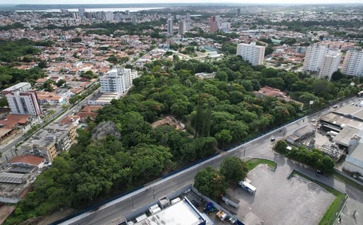 CONSTRUÇÃO DE CONDOMÍNIO AMEAÇA ÚLTIMO REFÚGIO DE MATA ATLÂNTICA
